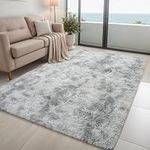 3X5 Light Grey Soft Area Rug for Bedroom Living Room Fluffy Thick Plush Carpets Shag Fuzzy Rugs for Kids Baby Room Big Home Decor Rug