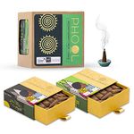 PHOOL LUXURY INCENSE Pack Of 2 Natural Incense Cones, Aromatherapy Pack 80 Organic Dhoop For Aromatherapy |Tea Tree And Lemongrass+2 Free Ceramic Holder | Dhoopbatti |100% Organic (500 Gms)