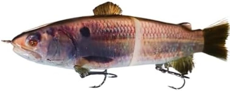 10" RF Glider Glide Bait Bass Musky Striper Fishing Big Lure Multi Jointed Shad Trout Kits Slow Sinking or Floating (Threadfin Shad, Float)