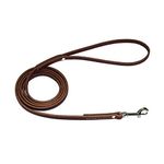 Emily Pets 6feet Leather Dog Leash - Best for Training (Brown)