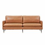 Leather Couches