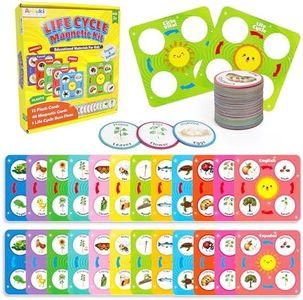 Magnetic Lift Cycle Learning Education Toys, Insect, Plant, Animal Life Cycle Science Kits for Kids 3-8, Montessori Matching Toys with Ladybug, Butterfuly, Frog, Apple