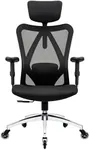 Duramont Ergonomic Office Chair - A