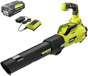 RYOBI RY40470VNM 125 MPH 550 CFM 40