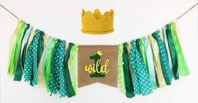 GoParty Wild One High Chair Banner 