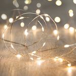 Lights4fun Indoor Fairy String Lights with 50 Warm White Micro LEDs on Silver Wire Battery Operated 4.95m