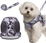 KUTKUT Breathable Mesh in Camouflage Vest Harness and Leash Set for Small Dogs and Cats | Adjustable Reflective Puppy Vest Harness for Small Pets (Size: L, Adjustable Chest: 38-42 cm)