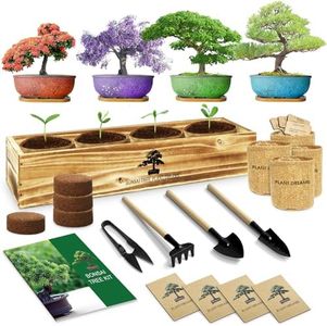 LUOJIBIE Bonsai Tree Kit, Complete Bonzai Tree Starter Kits with Tools, Unique DIY Gardening Gifts for Mom Women Men, Crafts Hobby Kits, Grow Bonsai Tree Live Indoor