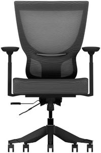 ErgoTune Classic Ergonomic Office Chair - Adjustable Backrest Desk Chair, Lumbar Support, 4D Armrests - High Back Breathable Durable Mesh Recline (Charcoal Black, v2.0)