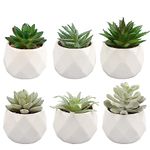 Artigreen 6 Pack Artificial Succulents Small Fake Succulent in Pots，Assorted Decorative Faux Succulent Potted，Mini Faux Potted Succulent Decor for Table Decor，Bathrooms, Office Decor