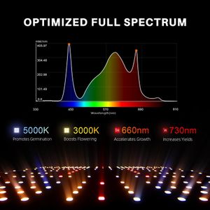 Spider Farmer EVO SF1000 LED Grow Light – Full Spectrum Indoor Plant Lamp