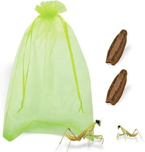Carolina Praying Mantis Habitat Kit with (Two Egg Cases) - Carolina Praying Mantis Egg Cases Comes with Outdoor Hatching Bag, Each Egg Case Produces 50 to 200 Nymphs