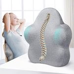 RESTCLOUD Lumbar Support Pillow for Office Chair, Back Support Pillow for Car, Computer, Gaming Chair, Recliner, Memory Foam Back Cushion for Pain Relief, Improve Posture, Adjustable Straps (Grey)