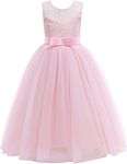 Glamulice Holiday Lace Bridesmaid Flower Girl Dress Blush Pink First Communion Kids Birthday Ball Gown Junior Elegant Tulle Maxi Long A Line Pageant Wedding Party Photoshoot Dresses Formal Event 14-15