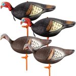 Poen Lookout Hen Turkey Decoy Standing Hunting Decoy Hen Decoy Lifelike Lightweight Realistic Standing Turkey Hunting Decoy for Family Outdoor Hunting, 13.4 x 5.5 x 6.7 Inches(4 Pcs)
