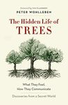 The Hidden Life of Trees: What They