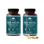 Saptamveda Irish Sea Moss 500MG 60 Capsules (Pack of 2) With Bladderwrack, Burdock, Turmeric & Bioperine Powder | Thyroid Support | Immune Health, Healthy Skin & Joint Support | Formula For Wellness