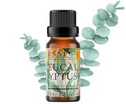 Esslux Eucalyptus Essential Oil | 100% Natural Eucalyptus Oil for Diffuser, Skin & Hair | Perfect for Humidifiers, Sinus Relief, and Aromatherapy | Ideal for Soap Making and DIY Projects, 15 ML