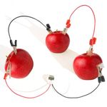 Mchodare Electric Circuit Kit for Kids, Fruit Battery Science Experiment Kit, Science Kits for Kids 10-12 Suitability