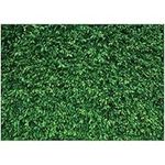 LYWYGG 7x5FT Green Leaves Photograp