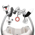 Car Seat Toys