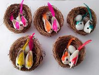 Bird Nest For Crafts