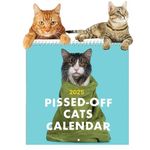 12 Month Cat Calendar 2025, Funny Monthly Paper Planner Wall Cat Calendar for Cat Lover, Novelty 2025 Calendar Calendar for Office Home Christmas Birthday (D)