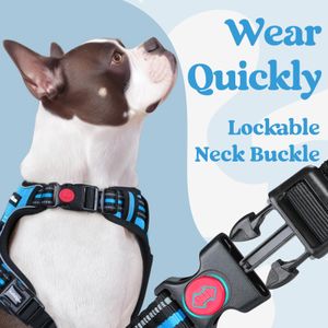 rabbitgoo Small Dog Harness, Sky Blue, Size M – No Pull Adjustable