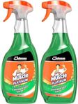 Mr Muscle Window & Glass Cleaner with Added Vinegar Streak Free Shine 750ml 2 Pack with Welari Thank You Card | 2 Pack | 2 x 750ml