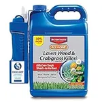BioAdvanced All-in- One Lawn Weed a