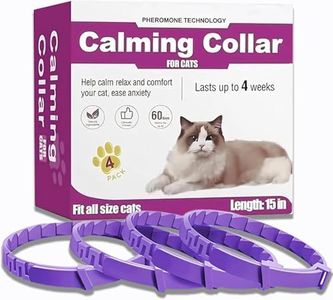 Cat Calmin