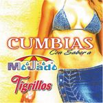 Cumbias Con Sabor a Mojado Y Tigrillos