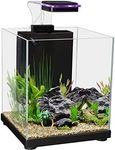 Aqua One Betta Sanctuary Glass Aquarium 10L, Blue,White,Black