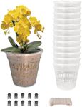 Tialero Orchid Pot, 12 Pack 4.5in P