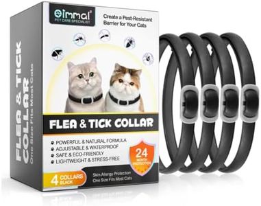 Cat Flea a