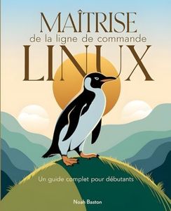 Maîtrise d