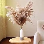 Pampas grass 20 pcs pampas grass artificial 18 inch pampas grass large dried pampas grass boho decor home decoration fluffy bouquet (grey pampas grass )