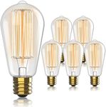 Hudson Vintage Incandescent Edison Light Bulbs 60W - E26/E27 Base 2100K Dimmable Decorative Lightbulbs - ST64 Style Warm Light - Antique Squirrel Filament Vintage Light Bulb for Outdoor and Indoor