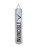 Invincible Classic Vinyl Never Tear Filled Boxing Bag for Men & Women Training, Punching Bag, Kick Boxing Bag, MMA, Silver Grey Color Special Edition 120 Cm, 4 Ft