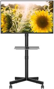 Mobile TV 