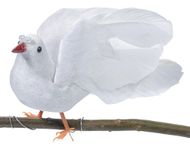 Darice, 6 inch White Dove, 6 "