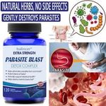 Remove Parasite ANTI PARASITE & CANDIDA DETOX Body Cleanse 120 Capsules