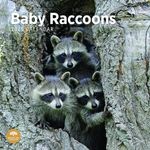 2025 Baby Raccoons Monthly Wall Calendar by Bright Day, 12 x 12 Inch Cute Nature Photography Gift