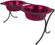 Platinum Pets Bistro Double Diner F