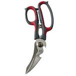 Zhen Kitchen Shears