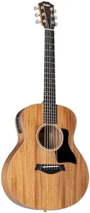 Taylor GS 