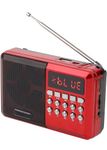 Fire Turtle Pocket Blast FM Radio with Bluetooth Speaker with Powerful Sound,FM Recording, Hidden Antenna, 6w-12 Hours (USB-C Charging) and Number Pad (AUX, SD Card, USB Input) (Red, 2.0 Channel)(Red)