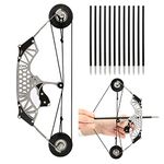 Archery Mini Compound Bow and Arrow Set Mini Pocket Bow Survival Bow Right Left Hand for Target Shooting Practice (8.6" with 12 Arrow)