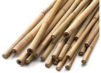 2FT-3FT-4FT-5FT-6FT Bamboo Garden C