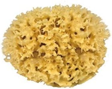 Croll & Denecke M080 - spugna naturale dal Mar Mediterraneo (qualità media, otto centimetri)